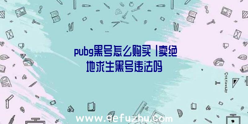 「pubg黑号怎么购买」|卖绝地求生黑号违法吗